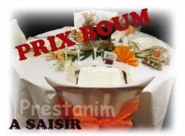 15391_100-habits-de-chaise-blanches-prix-discount