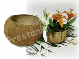 21431_coupe-noix-de-coco-centre-table