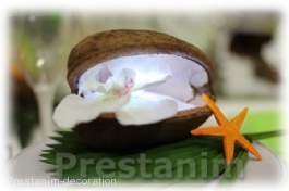 21631_decoration-exotique-coco-nuts-naturelle-prestanim-deco