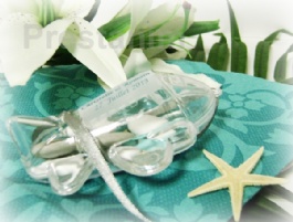 23172_avion-porte-dragees-mariage-dans-les-iles