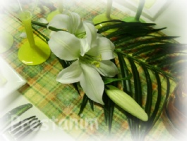 29892_fleur-de-lys-blanc-effet-naturel