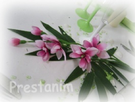 29922_branche-orchidee-rose-fuchsia