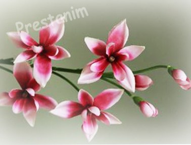 branche-orchidee-artificiel-rose