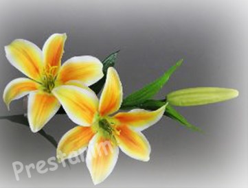 fleur-artificielle-lys-orange