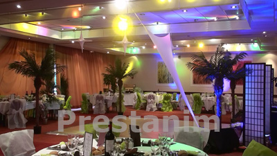 location-palmier-decor-salle-exotique