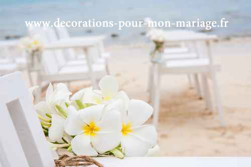 Chair setting for Wedding