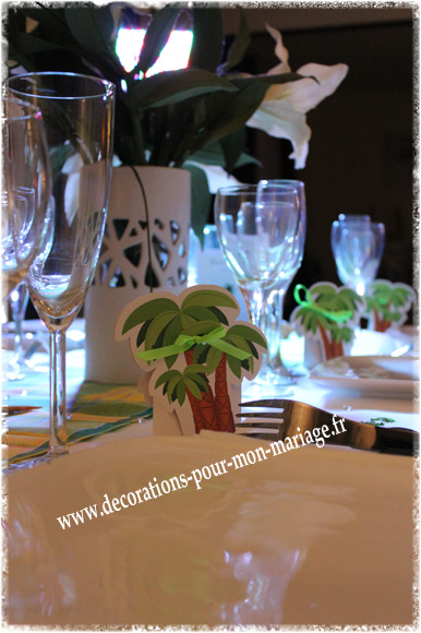 contenants-dragees-palmier-iles