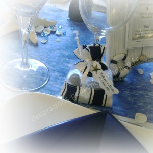 sachet-dragees-marin-bleu-blanc