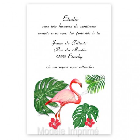 invitation-repas-flamant-rose